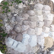 Pool Backfill Company